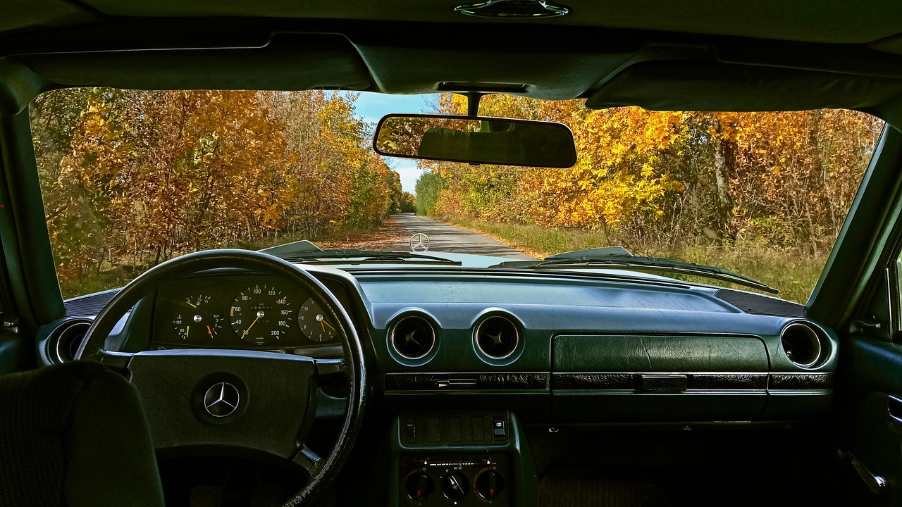 mercedes, mercedes w123, retro, autumn, road, nature, landscape, ukraine, peace, silence, calmness, car wallpapers, car, vintage, old, natural